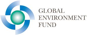 g.f.e meaning|global environment facility trust fund.